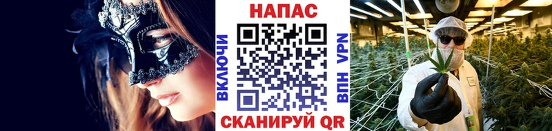 Продажа наркотиков Новая Ладога COCAIN  НБОМе  МЕТАМФЕТАМИН  МАРИХУАНА  МЕФ  ГАШ  СОЛЬ 