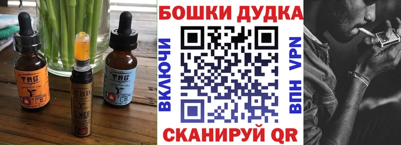 мега ONION  наркота  Новая Ладога  Canna-Cookies конопля 