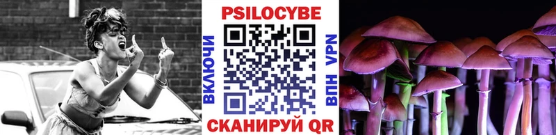Галлюциногенные грибы Psilocybe  ссылка на мегу зеркало  Новая Ладога 